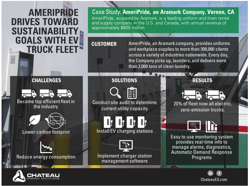 infographic of AmeriPride Sustainability Goals case study